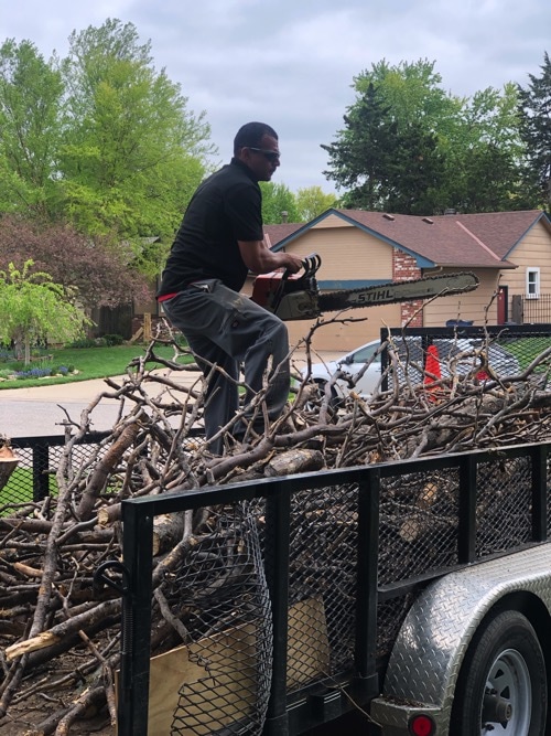tree and branch junk removal service in wichita
